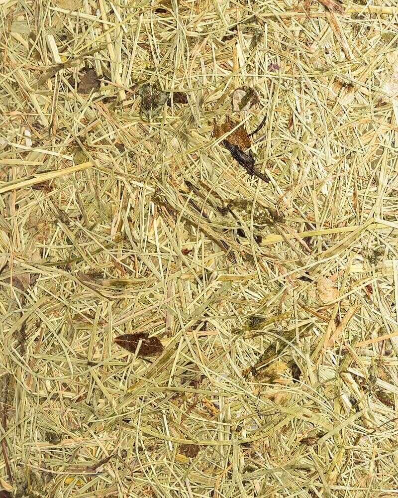 Tischleuchte Leseleuchte Heu Holz Metall 15 cm