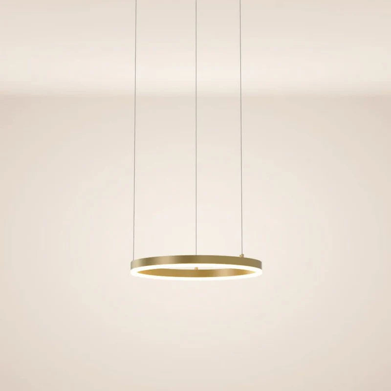 LED Ring Pendelleuchte Ø 40cm