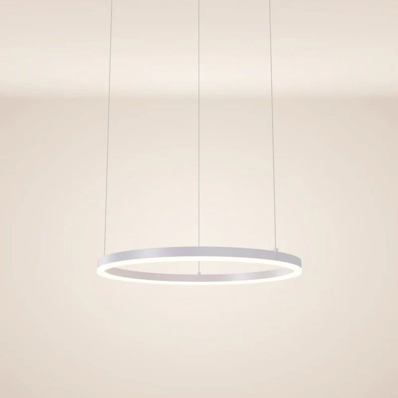 LED Ring Pendelleuchte Ø 60cm
