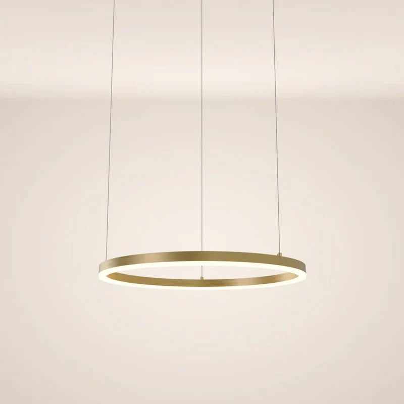 LED Ring Pendelleuchte Ø 60cm