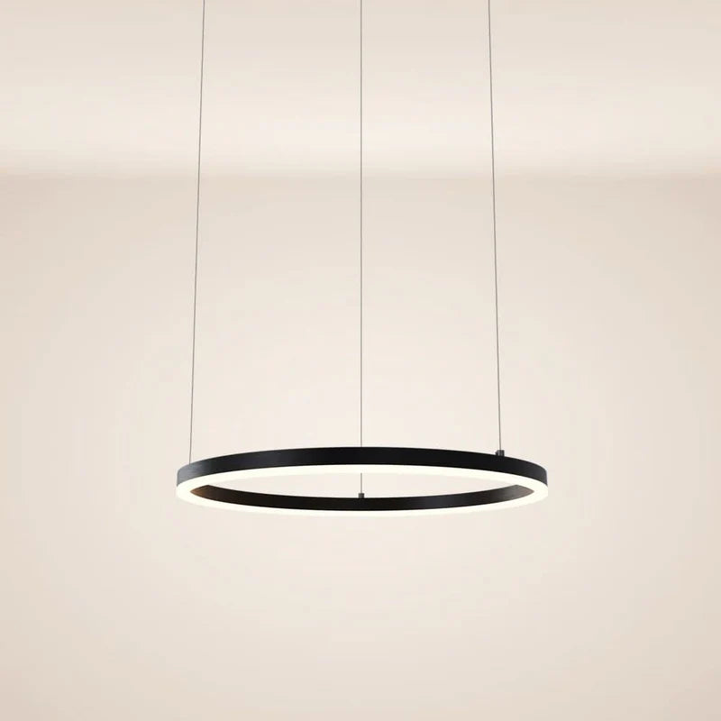LED Ring Pendelleuchte Ø 60cm